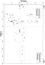 Image result for Drypetes arguta