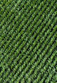 Some of the safety tips. Pesticides Environmental Impacts And Management Strategies Intechopen