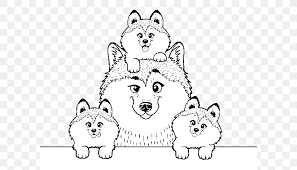 I normally try not to post dogs, as they take up valuable internet space that is needed by cats, but this guy is a worthy exception. Siberian Husky Puppy Colouring Pages Alaskan Husky Alaskan Malamute Png 600x470px Siberian Husky Alaskan Husky Alaskan
