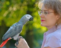 Meet the Explorers Club 50 Class of 2022