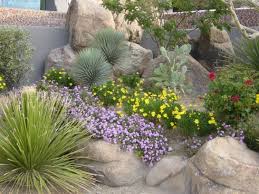 Image Detail For Desert Landscape Desert Gardening Landscaping Landscaping With Rocks Desert Landscaping