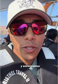 Lobos Marinos en Perú: ¿Comiendo una Tortuga?