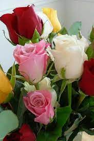 Pictures of beautiful bouquets of flowers. Beautiful Flowers And Roses Beautiful Flowers And Roses Facebook