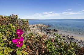 We did not find results for: 25 Best Places To Visit On Thanksgiving