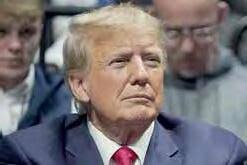 Reactivan búsqueda de los desaparecidos by Editorial El Vigia