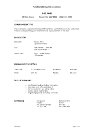 Resume Format Summary