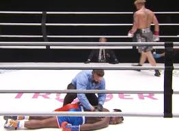 Jake paul or jake joseph paul an american youtuber and nate robinson had been wanting to fight since the logan paul vs ksi 2. Jake Paul Knocks Nate Robinson Out Cold Violent Ko