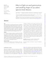 Cover the seed with more of your medium and tamp it down gently. Pdf Effect Of Light On Seed Germination And Seedling Shape Of Succulent Species From Mexico