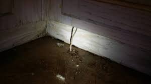 gilbert termite inspection