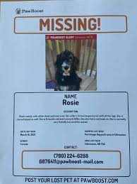 Update your helping lost pets posting. Missing Pet Please Help Bring Her Home More Info In Comments Edmonton