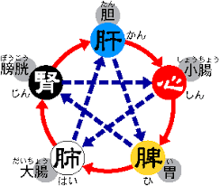 漢方薬のことなら神戸市東灘区 井口薬局 元気創造ブログ 季節のコラム