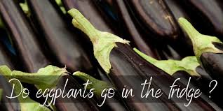 Store broccoli, cauliflower, cabbage, and turnips in plastic in the vegetable crisper. Should Eggplants Be Refrigerated It S Really Up To You Foodiosity