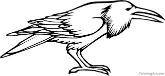 You might also be interested in coloring pages. Raven Coloring Pages Coloringall