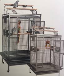 We give you the indoor cat cage enclosure as a solution to this dilemma. Rainforest Santos Play Top Ii Cage Antique The Bird Loft