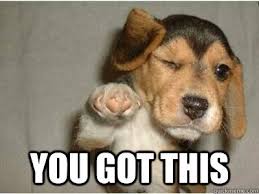 Sell On Amazon Dog Memes Funny Animals Funny Dog Memes