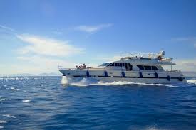 Kauris iii is a 32.83 m sail yacht. Die Bachelorette 2019 Gerda Sucht Notgeilen Komasaufer Zum Entmannen Brigitte De