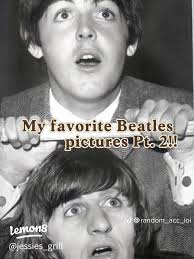 Exploring the Beetle: A Car That Buoys Your Mood