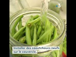 Haricots Verts Nos Conseils Pour Les Recolter Et Les Conserver Youtube