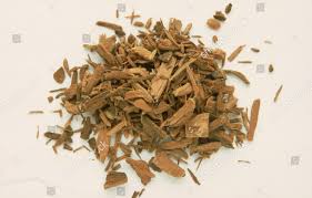 Image result for Corynanthe