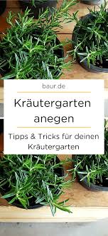 Krautergarten Anlegen Tipps Und Tricks Fur Deinen Krautergarten Es Geht Doch Nichts Uber Den Geschmack Frisc Pflanzen Krauter Pflanzen Krautergarten Anlegen