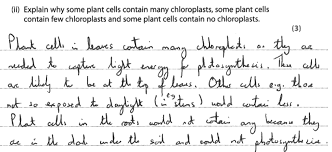 Plant cells have no chloroplast. Https Pdfcoffee Com Download 4bi11bpef20190822 Pdf Free Html