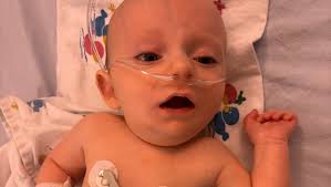 Fundraiser for Hailey Starkey by Stephanie Paul : In Loving Memory of  Zedekiah and his journey with CRELD1