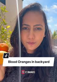 Orange Tree Final Bloom