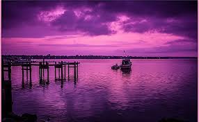  Wallpaper Gambar Bunga Cantik Warna Ungu Download Bunga Mawar Ungu Terbaru Koleksi 10 Bunga Cantik Berwarna Puple Gambar Bun Pemandangan Ungu Matahari Terbenam