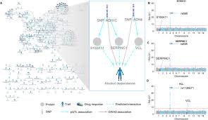 The lac operon is exquisitely controlled by a set of proteins, including a negative regulator and a positive regulator to keep the proper amount of beta galactosidase inside the cell. Genome Wide Pqtl Analysis Of Protein Expression Regulatory Networks In The Human Liver Bmc Biology Full Text