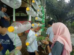 Check spelling or type a new query. 6 Cara Membuat Taman Gantung Dari Botol Bekas Tukang Taman Surabaya Jasa Taman Surabaya
