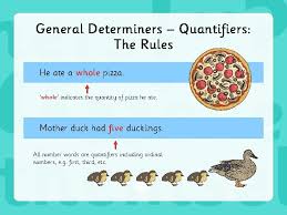 They differ from numbers or numerals which indicate precise quantity. Determiners Determiners The Rules Determiners Are Words That