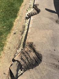 Van beek's landscape supply, oakville, on. Van Beek S Garden Supplies 1 5 1 Review 2410 Lower Baseline Rd Oakville On N49 Com