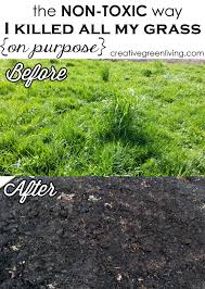 Pin On Gardening