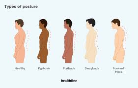 Muscles that move the eyes. Types Of Posture How To Correct Bad Posture