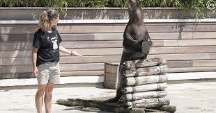 Les soigneurs de la flèche en immersion. Une Saison Au Zoo La Saison 12 Demarre Ce Soir Sur France 4 Puremedias