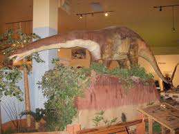 Check spelling or type a new query. 20080830 Dinosaur 08 Dinosaur Journey Museum James Fee Flickr