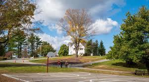 Student Club Runner-Up in Greenlight Competition