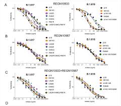 It was first identified in december 2019 in wuhan,. The Spike Proteins Of Sars Cov 2 Variants Identified In India