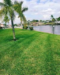 Get matched with top lawn care services in fort myers, fl. Fort Myers Pest Control Lawn Care Landscape Maintenance Lehigh Acres