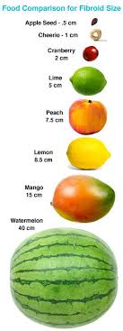 comparing fibroids with fruits uterine fibroids fruit