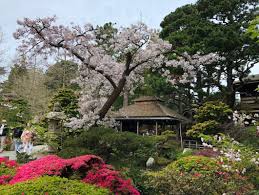 Show off your favorite photos and videos to the world, securely and privately show content to your friends and family, or blog the photos and taken in san francisco golden gate park japanese tea garden. Summer Program Offers Free Museum Entry To City Residents The San Francisco Examiner