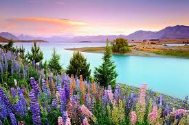 New zealand memungkinkan anda mengalami keintiman dengan alam yang sulit ditemukan di tempat lain. Tempat Tempat Menarik Di New Zealand Jombercuti