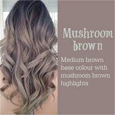 Mushroom Brown Brunettehairstylesforwomen If You Liked This Pin Click Now For More Details Mushroom Hair Brunette Hair Color Hair Shades