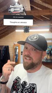 Thoughts On The Labrador #dogs