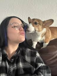Adorable Corgi Pictures and Love