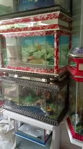Harga murah di lapak armanto. Aigo Aquarium Ikan Hias Lamongan