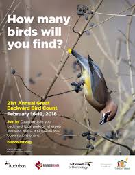 How to make a backyard bird garden. 2018 Great Backyard Bird Count Delaware Otsego Audubon Society