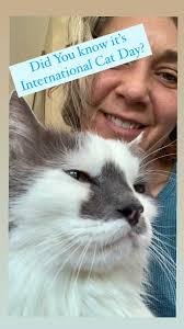 Avery Finn (@averyfinn1)