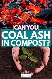 Can You Put Coal Ash In Compost Garden Tabs