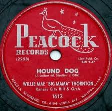 F you ain't nothin' but a hound dog. Hound Dog Song Wikipedia